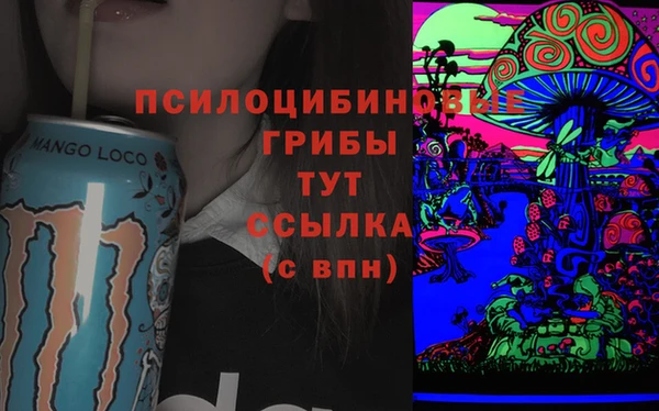 эйфоретик Тихвин