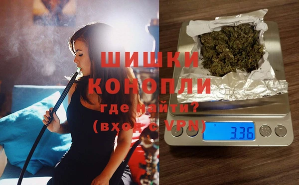 ПСИЛОЦИБИНОВЫЕ ГРИБЫ Верея