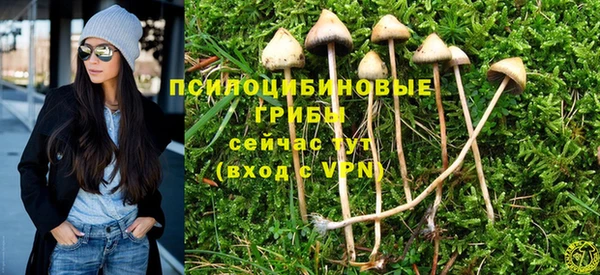 прущая мука Верхний Тагил