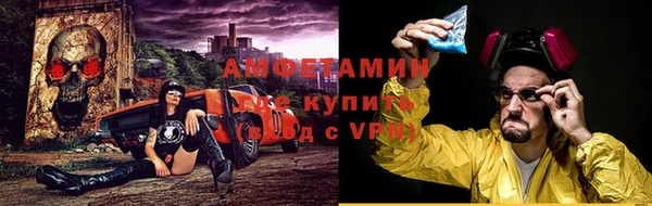 ПСИЛОЦИБИНОВЫЕ ГРИБЫ Верея
